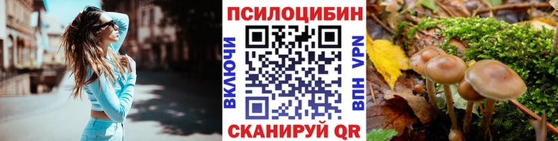 Галлюциногенные грибы Cubensis  даркнет сайт  Донецк 