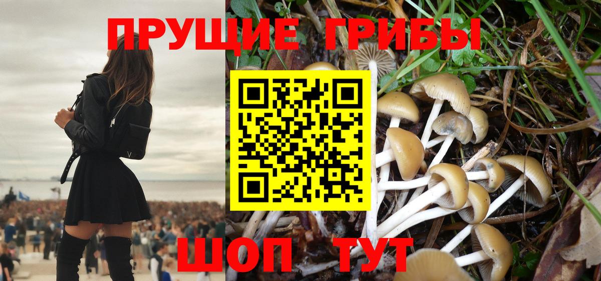 Псилоцибиновые грибы мицелий  Вход с VPN  Донецк 