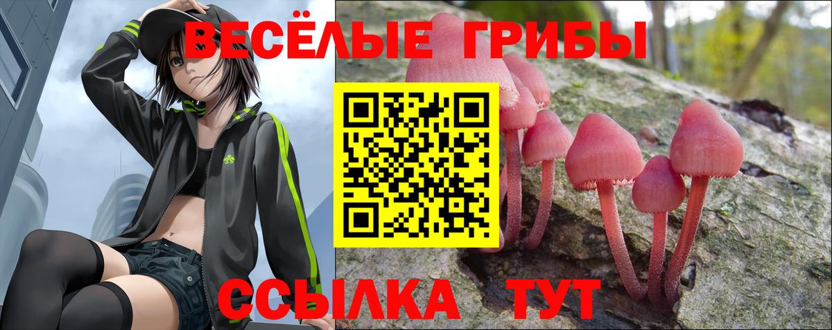 Псилоцибиновые грибы MAGIC MUSHROOMS Донецк